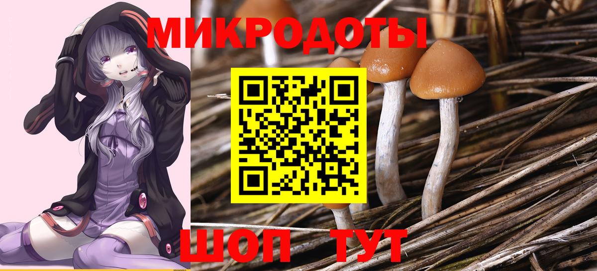 Псилоцибиновые грибы MAGIC MUSHROOMS Лиски